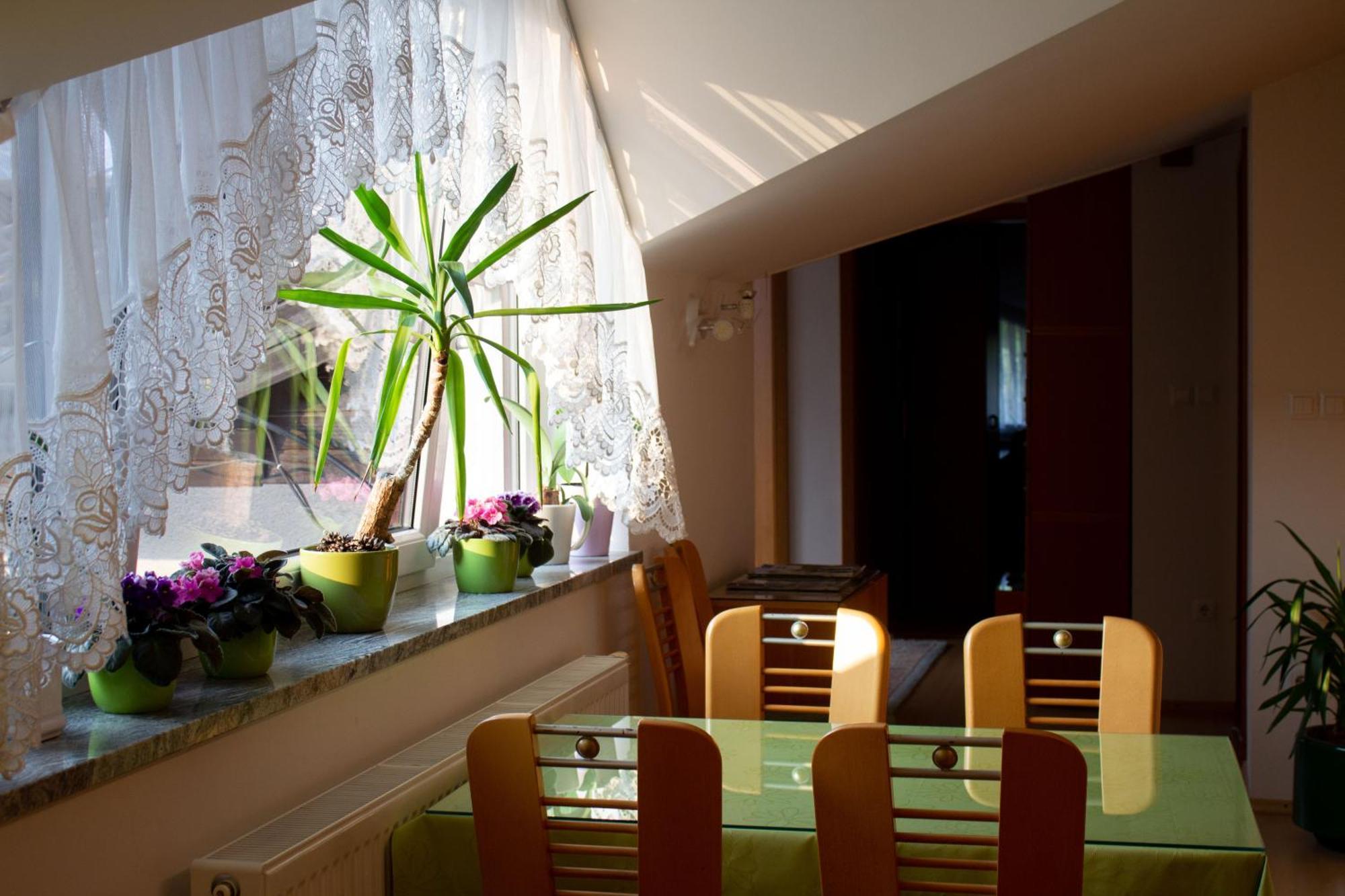 Garden Apartments Jansa Радовлица Номер фото