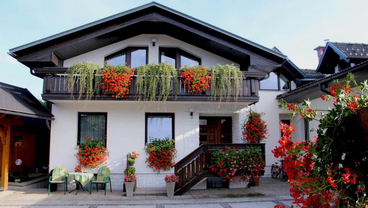 Garden Apartments Jansa Радовлица Экстерьер фото