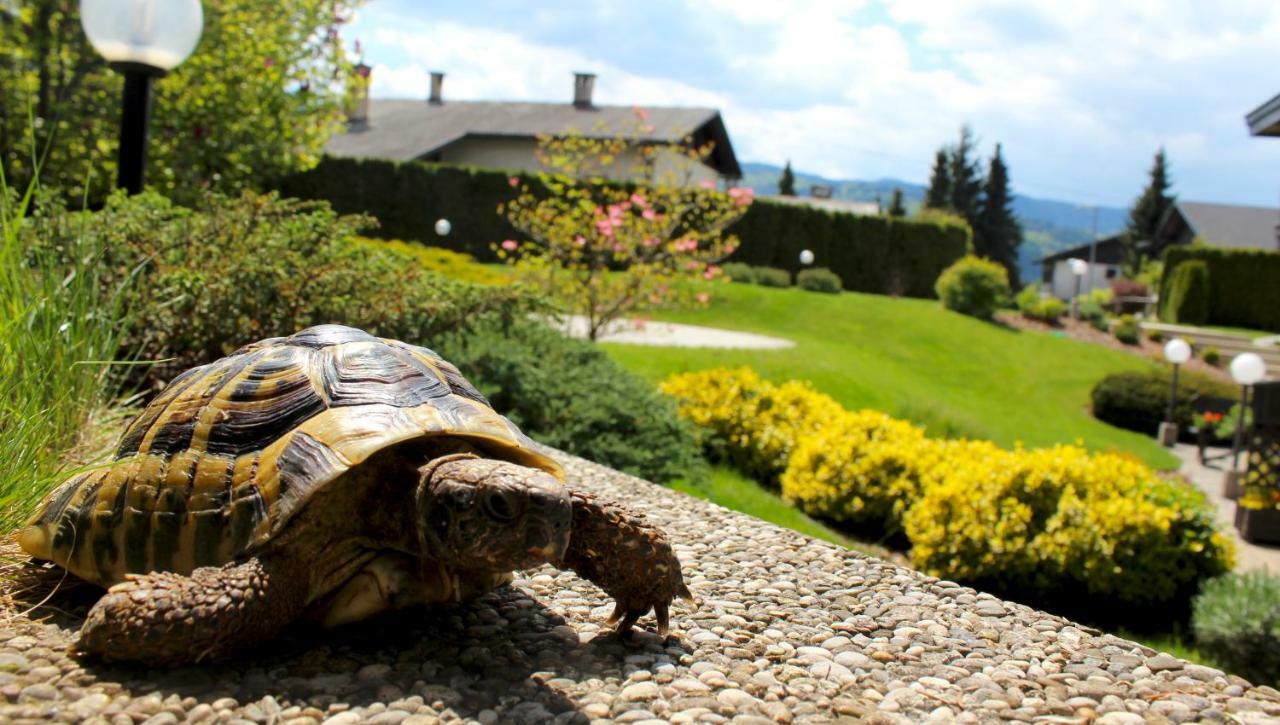 Garden Apartments Jansa Радовлица Экстерьер фото